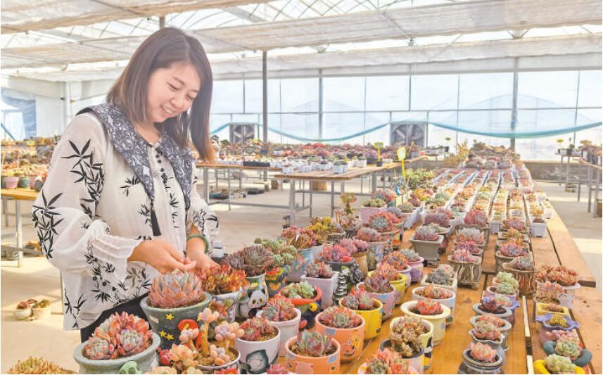 王婧：多肉云寄养育出乡村新产业